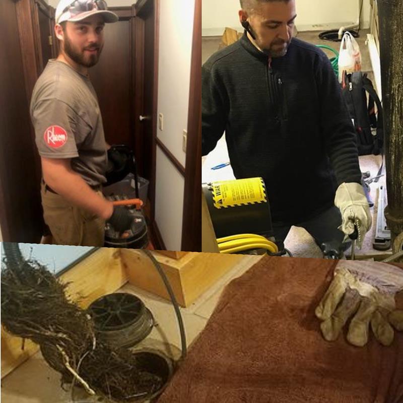 Two men use plumbing equipment indoors; one stands in a hallway, the other works in a utility area. Below, a large mass of tree roots is shown next to plumbing tools and gloves on a towel.