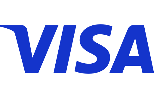 The image shows the blue VISA logo, with bold, uppercase letters on a light gray background.